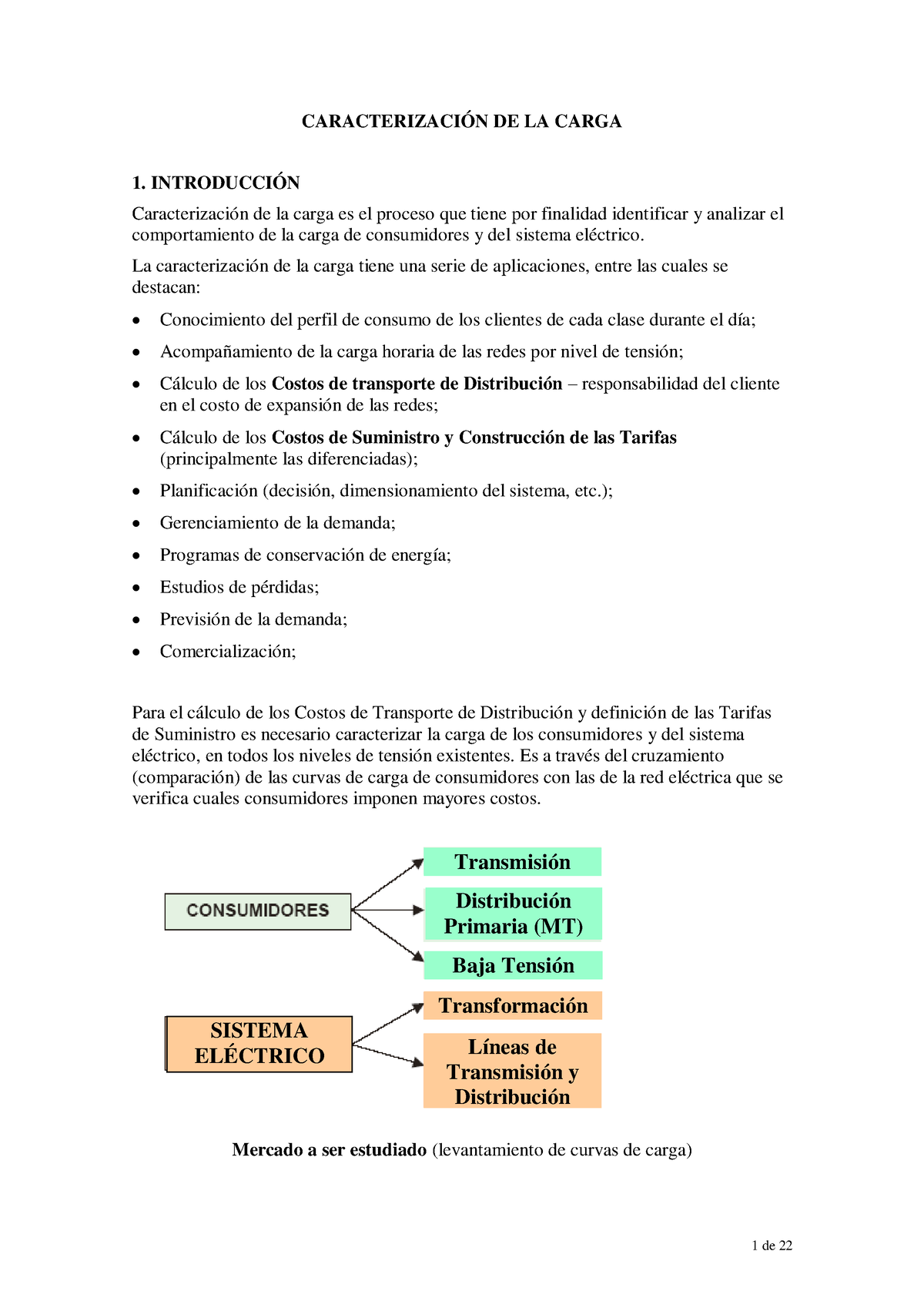 Caracterizacion De La Carga - CARACTERIZACIÓN DE LA CARGA INTRODUCCIÓN ...