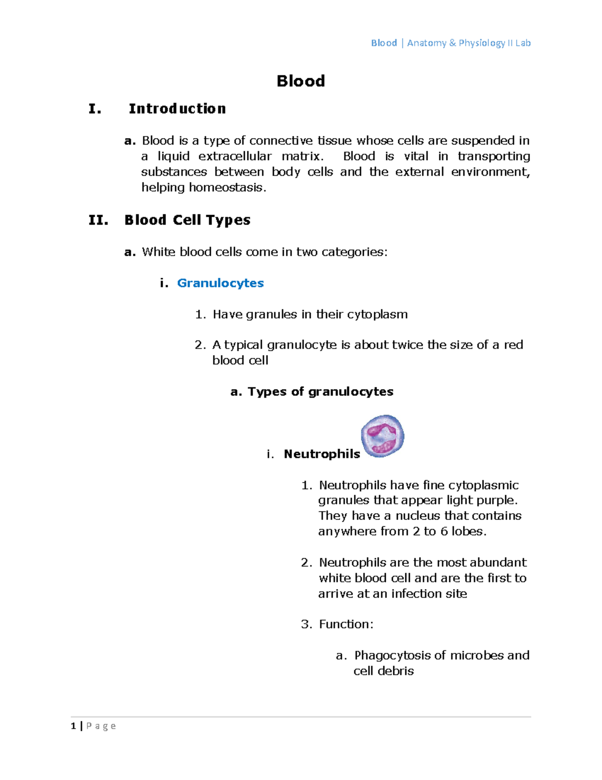 Blood Lab Outline Blood I. Introduction a. Blood is a type of connective tissue whose cells