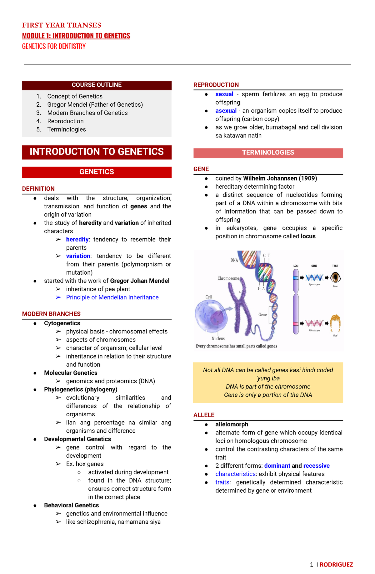 Genetics Module 1 - FIRST YEAR TRANSES MODULE 1: INTRODUCTION TO ...