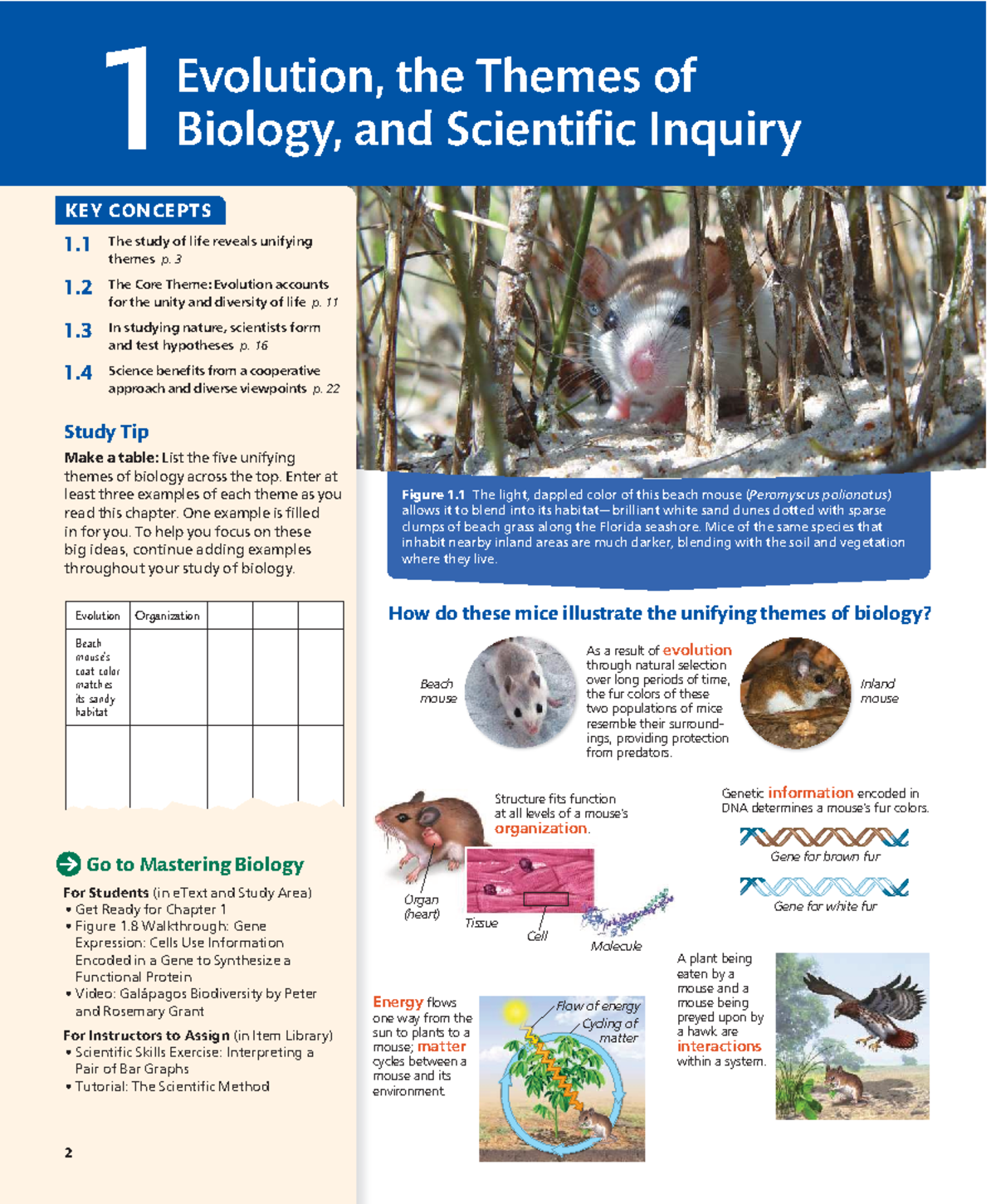 Bio 123 chap 1 - Summary Campbell Biology - Evolution, the Themes of 1 ...