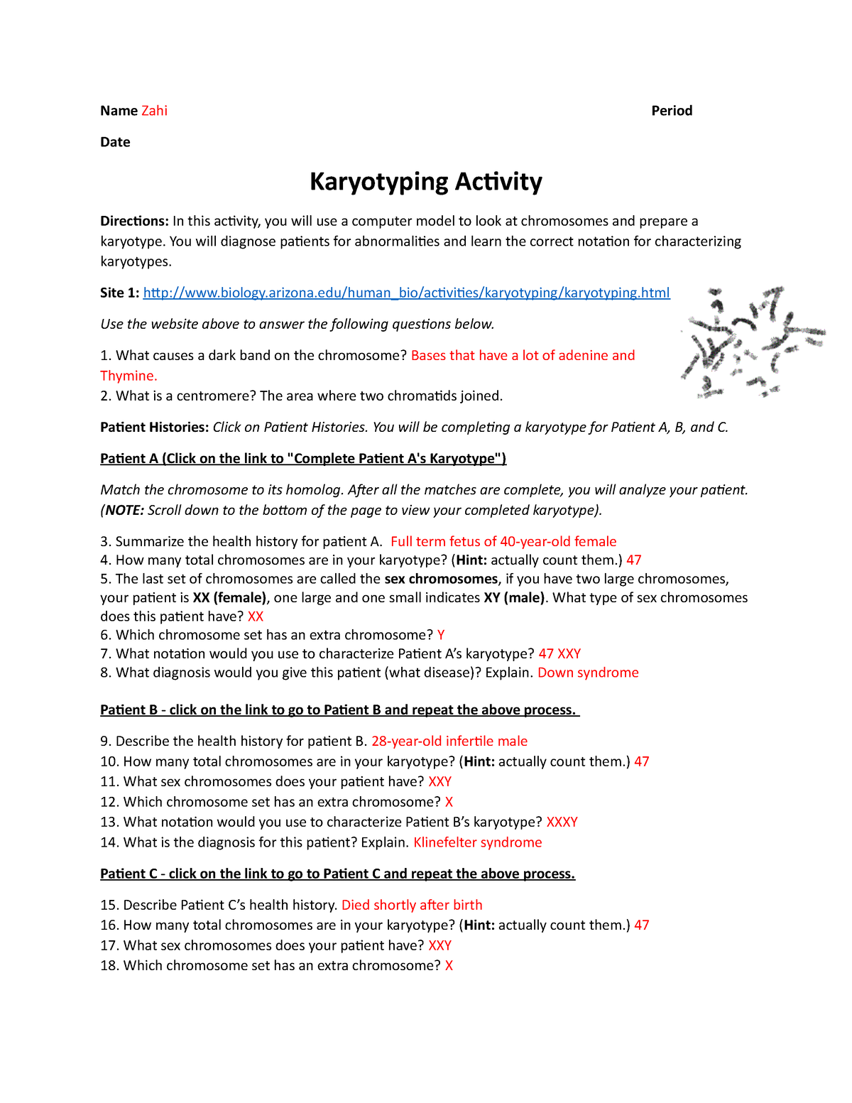 karyotyping-activity-mb-1-answer-key-name-zahi-period-date-karyotyping-activity-directions