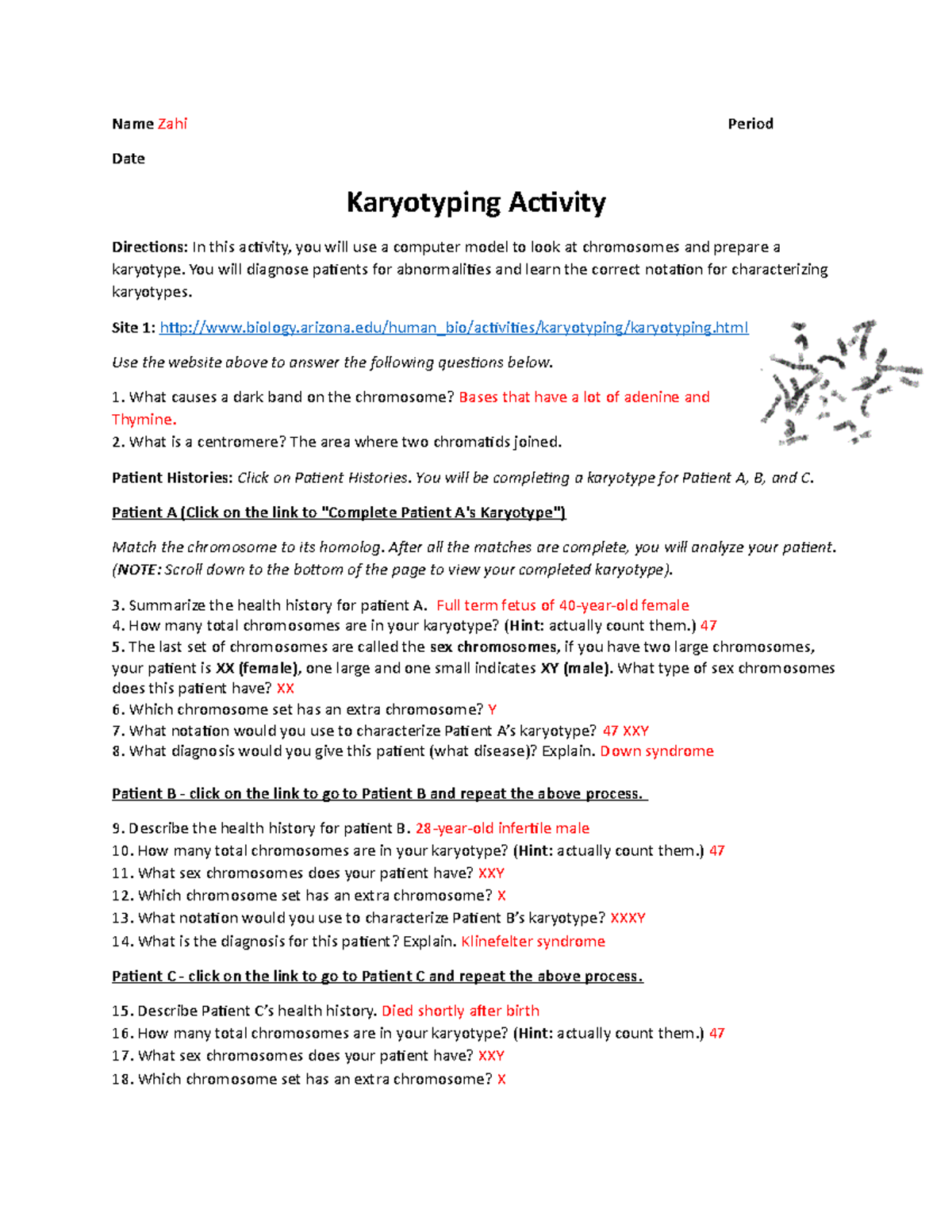 Arizona Karyotype Biology