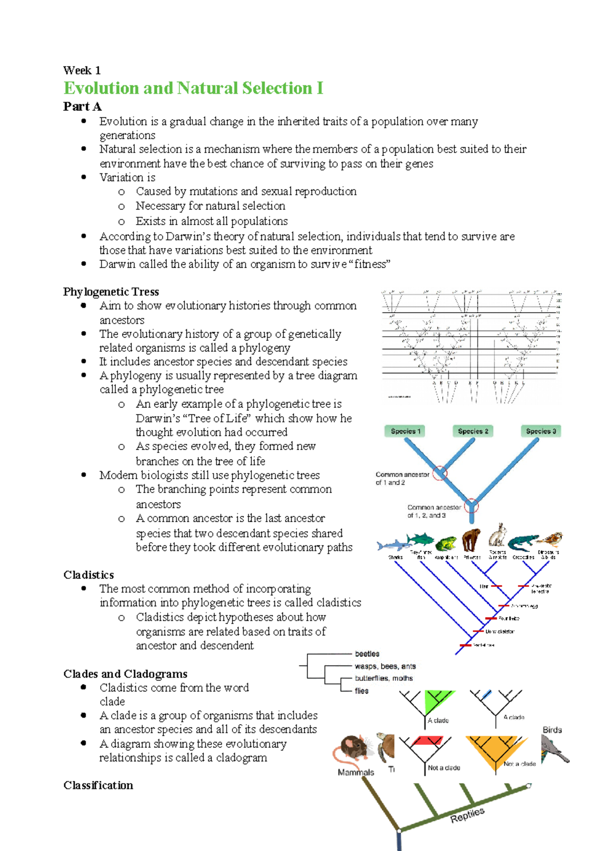 Bios lab - Week 1 Evolution and Natural Selection I Part A Evolution is ...