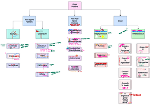 ACT 1 - “Systems Integration and Architecture Activity 1” What are Data ...