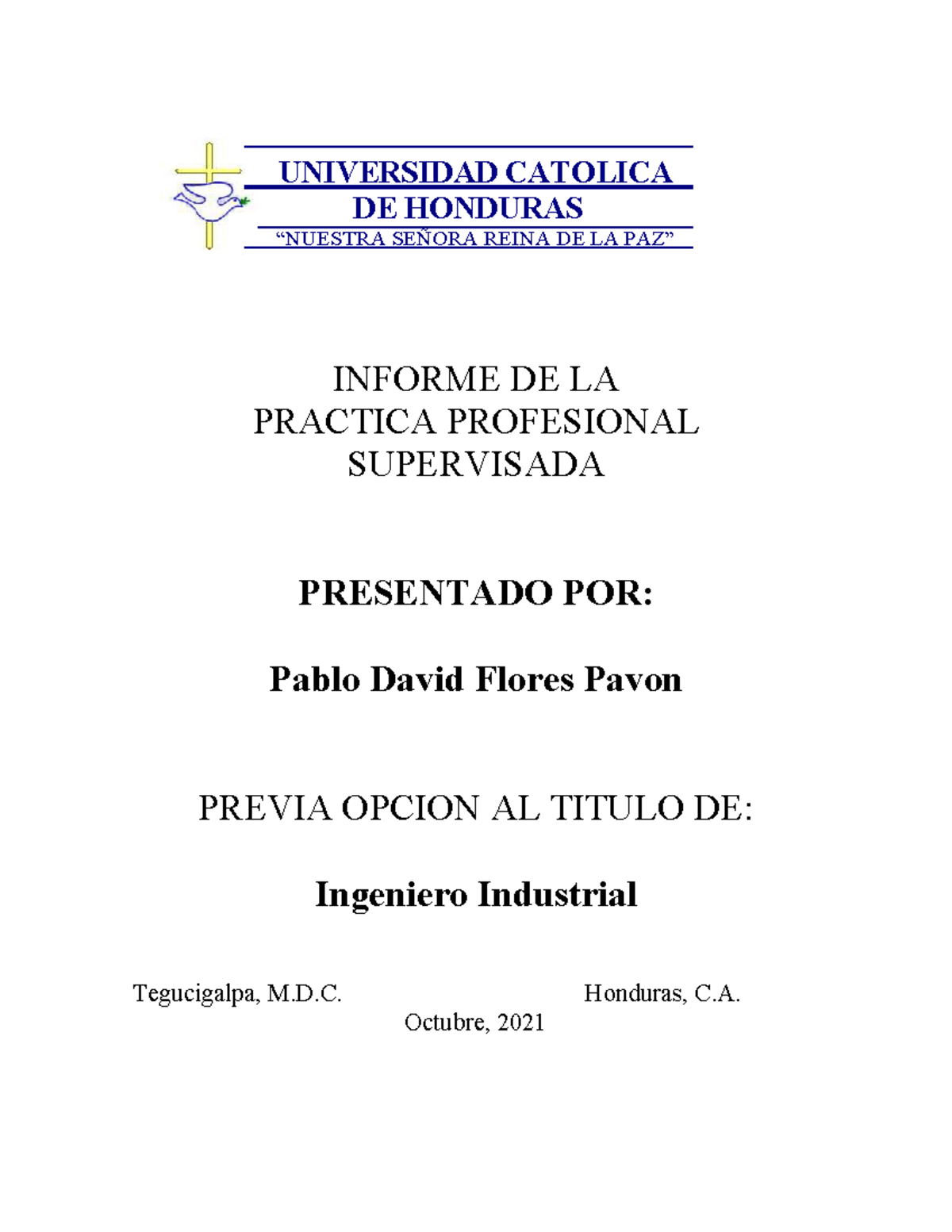 Práctica Profesional Supervisada Pablo David Flores Pavon Final ...