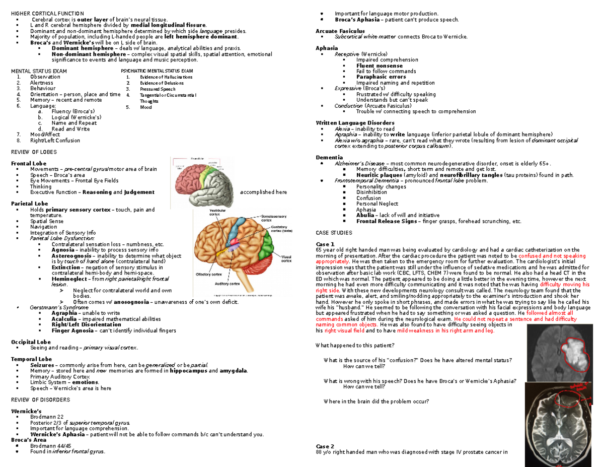 ANAT - Higher Cortical Function 20192020 - HIGHER CORTICAL FUNCTION ...