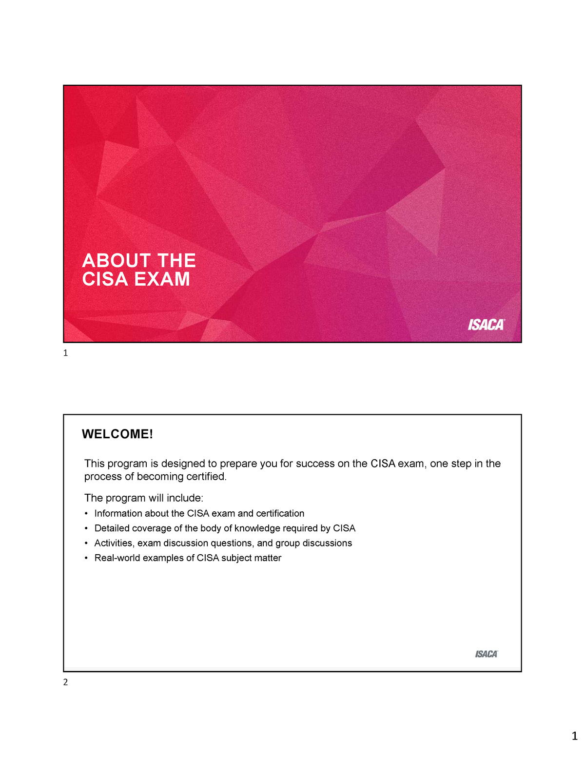 Pdf Demo CISA Download