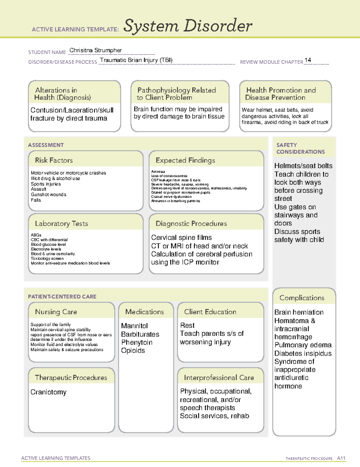 Christina Strumpher System Disorder TBI - ACTIVE LEARNING TEMPLATES ...