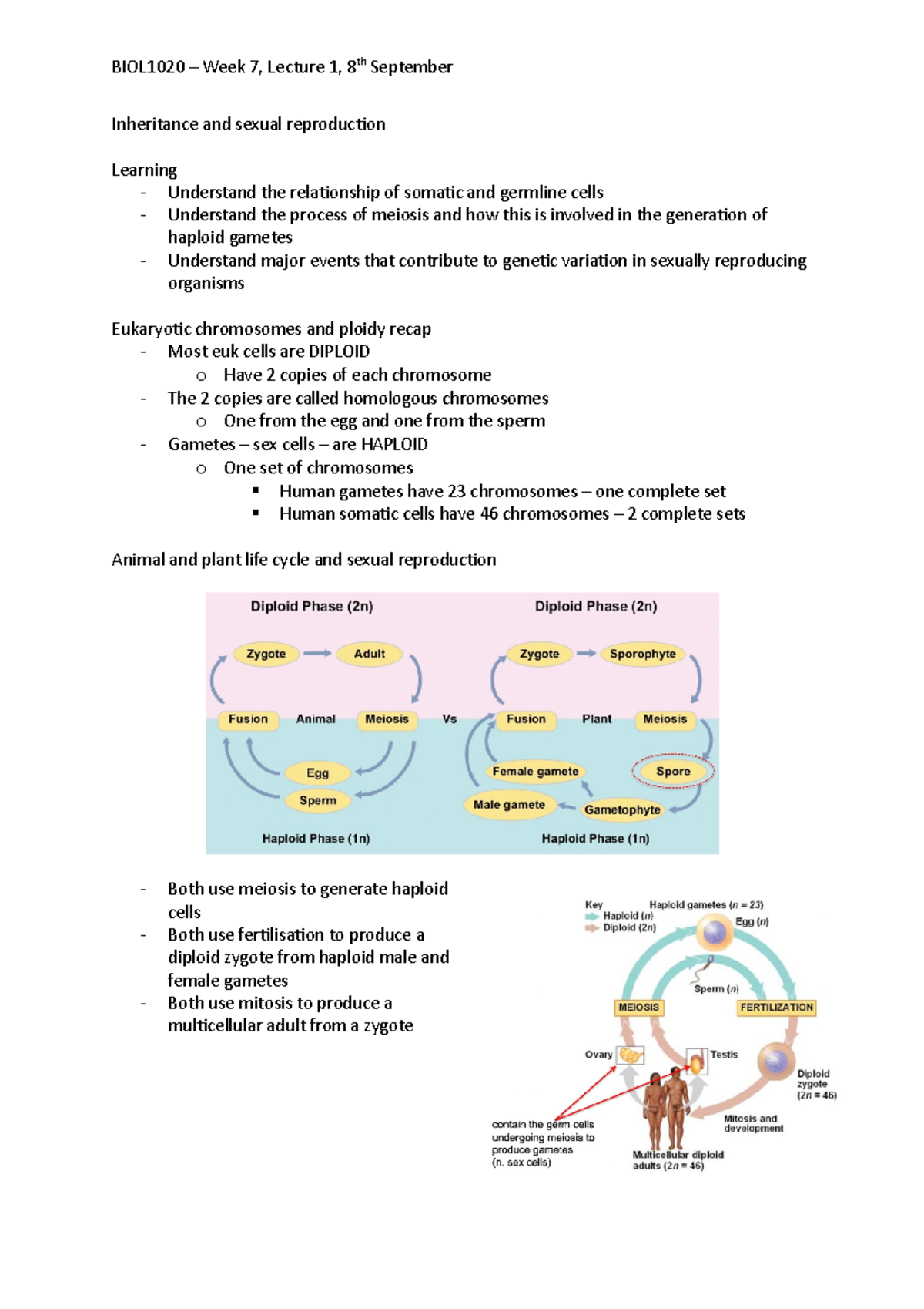 W7, L1 - Inheritance and sexual reproduction - BIOL1020 – Week 7 ...