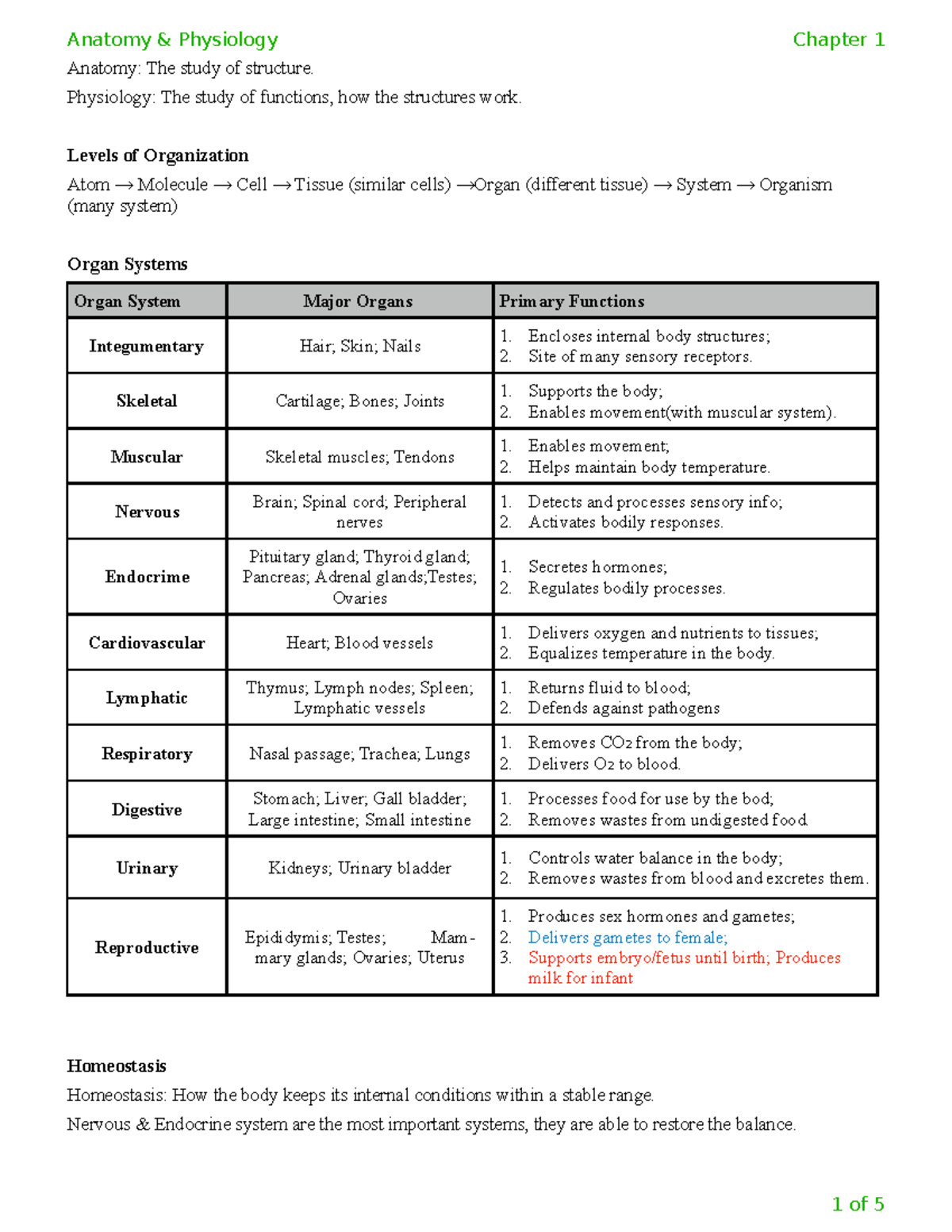 Chap 1 Test Review - Anatomy And Physiology Chapter 1 - Anatomy: The ...