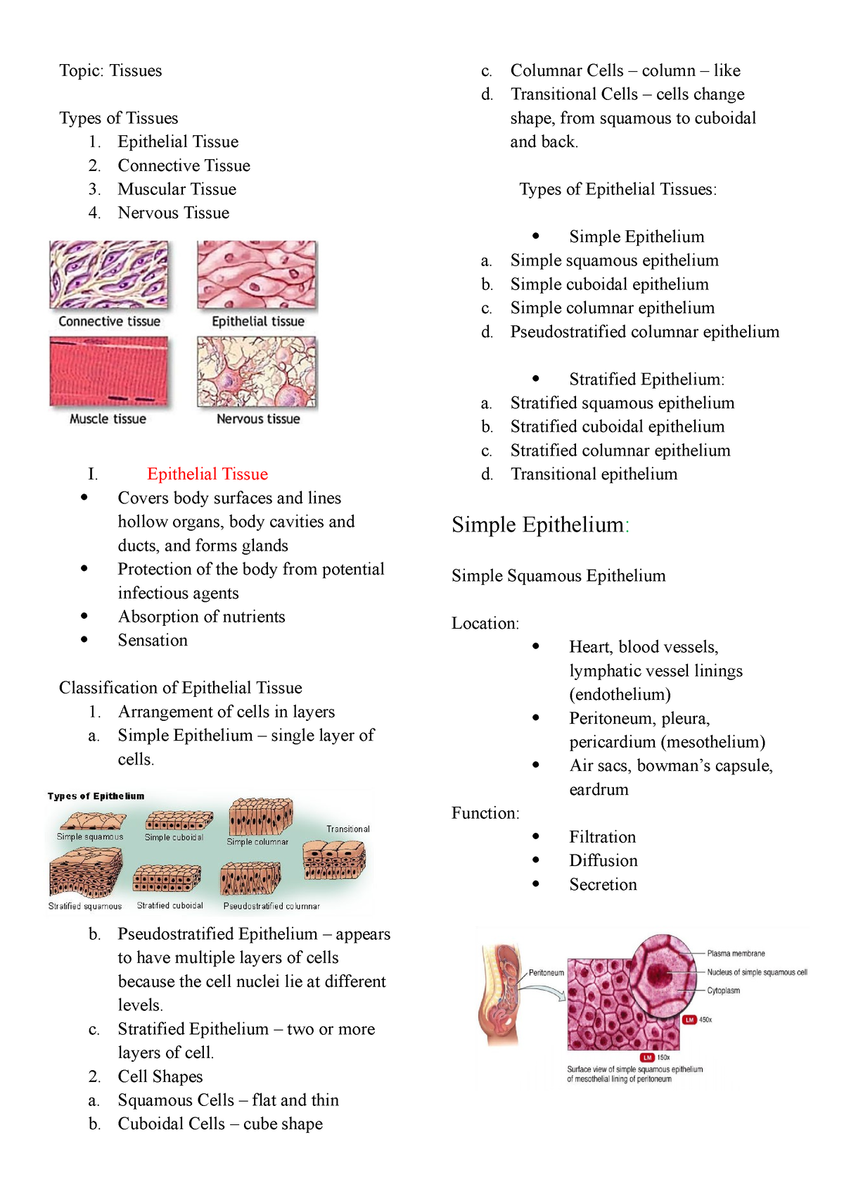 Anaphy - TOPIC: TISSUES - Topic: Tissues Types of Tissues 1. Epithelial ...