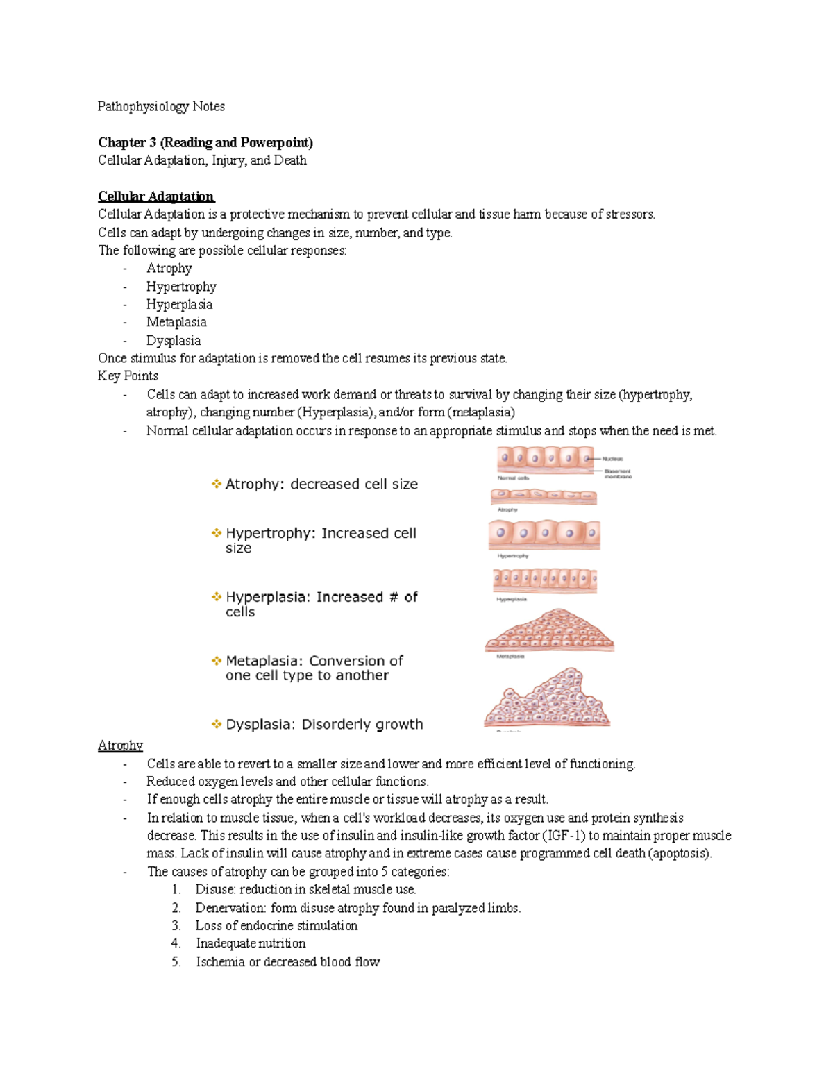 Pathophysiology Notes - Pathophysiology Notes Chapter 3 (Reading And ...