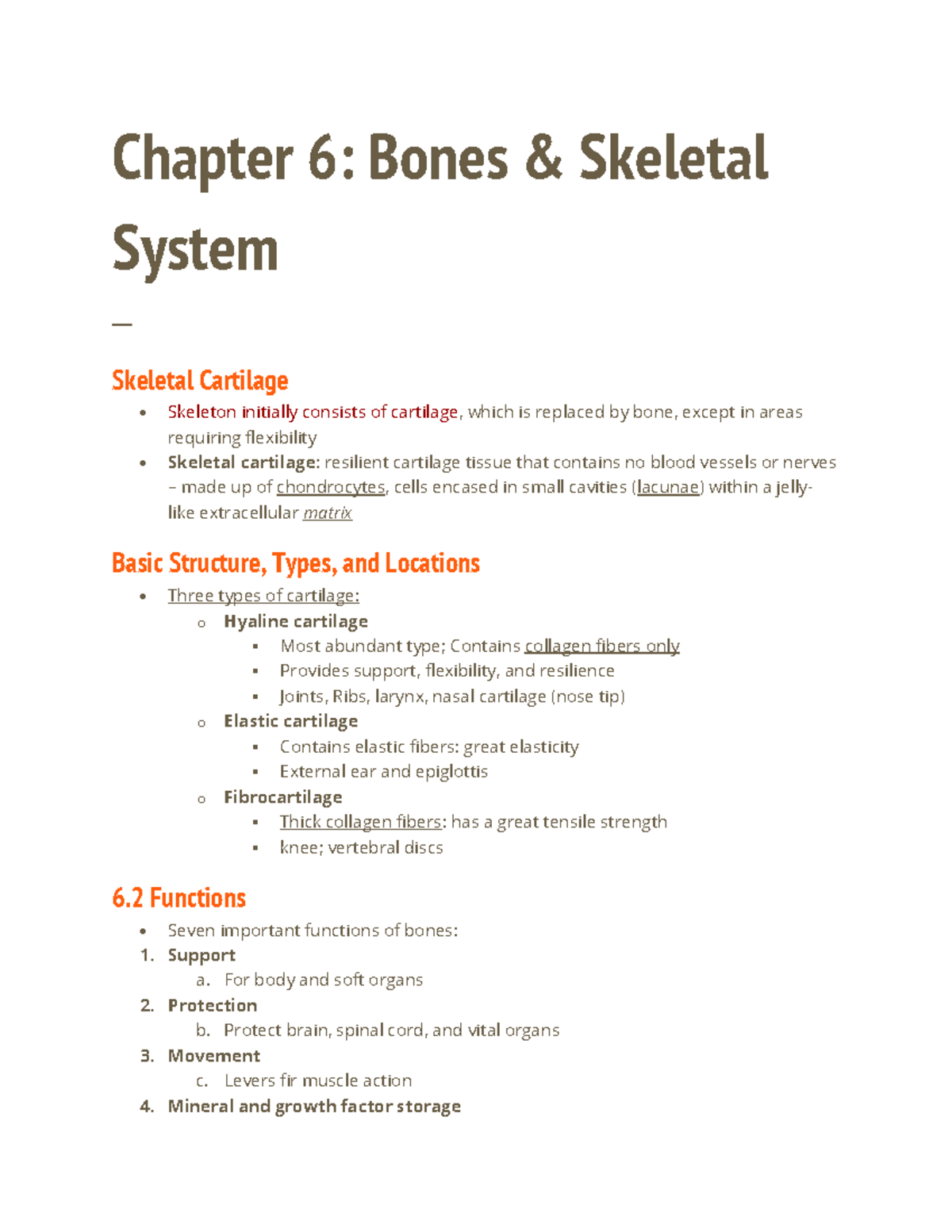 Chapter 6: Bones % Skeletal System - Chapter 6: Bones & Skeletal System ...