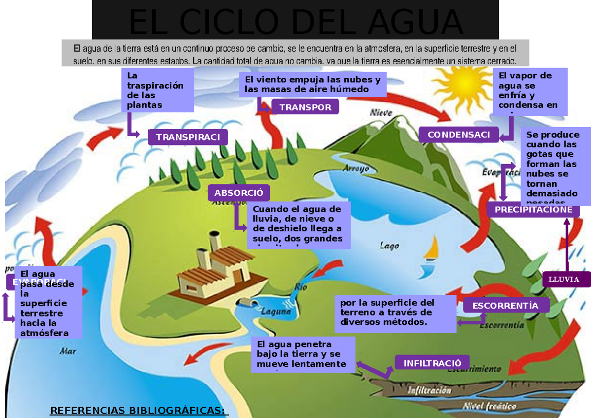 Infografía Final - INFOGRAFIA CICLOS DE AGUA - REFERENCIAS ...