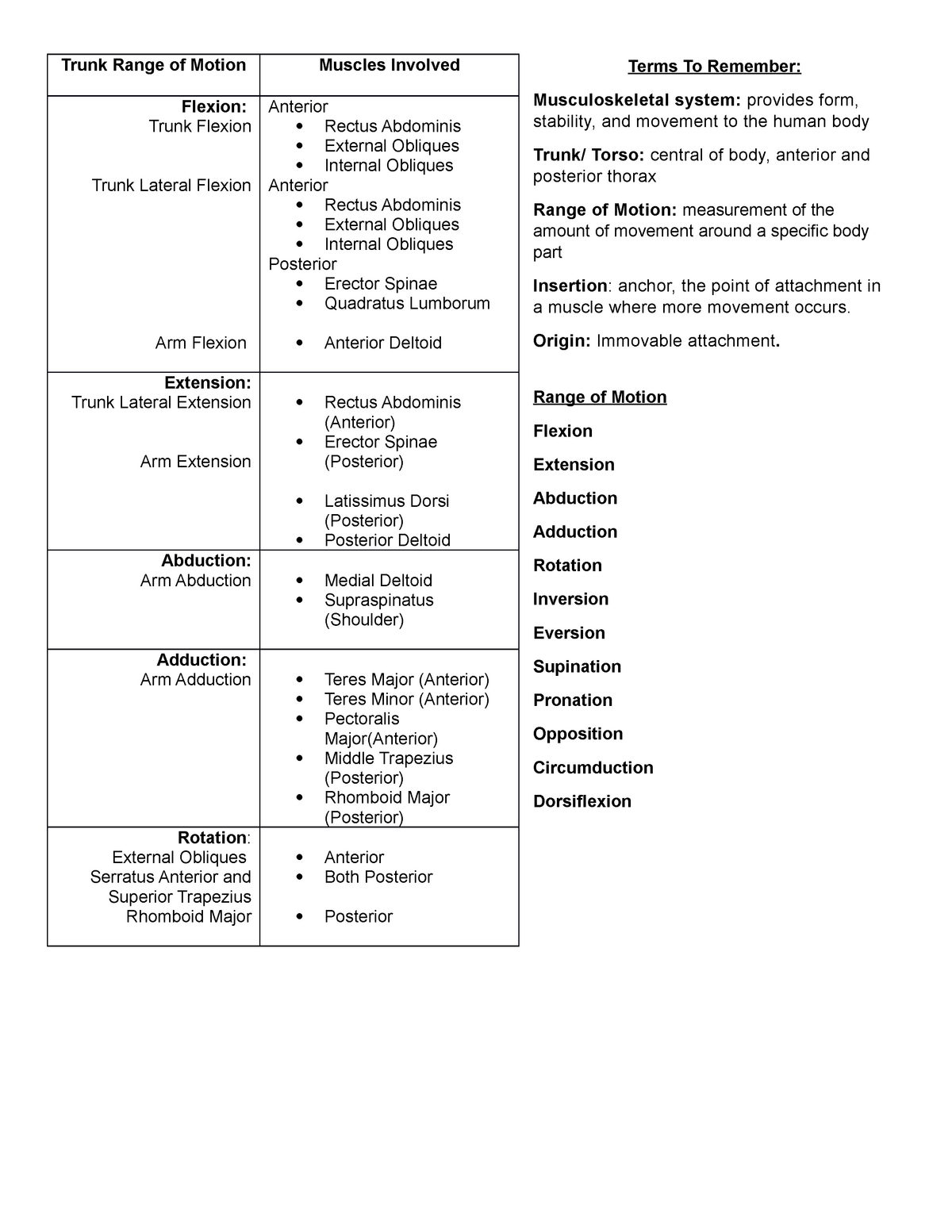 range-of-motions-trunk-origin-and-insertion-anatomy-and-physiology