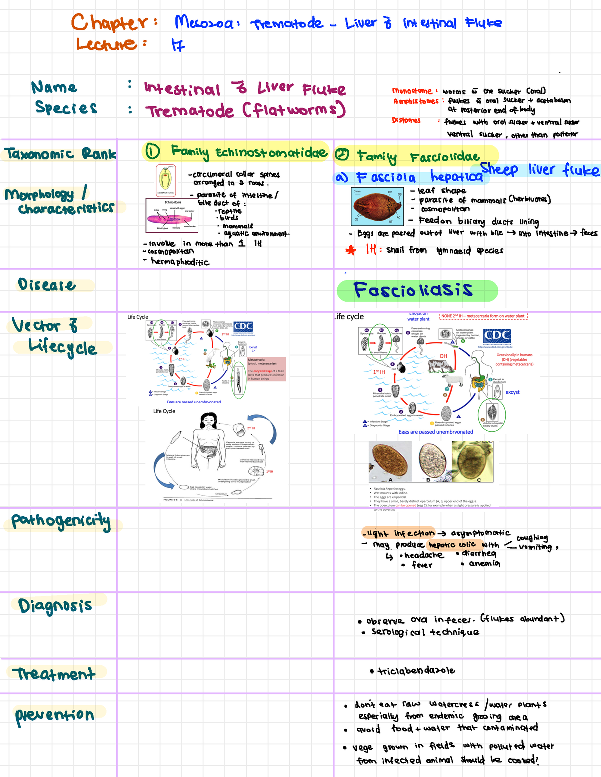 BIO564 - Lec 17 ~ Lec 20 - ……:……… - Biology - UiTM - Studocu