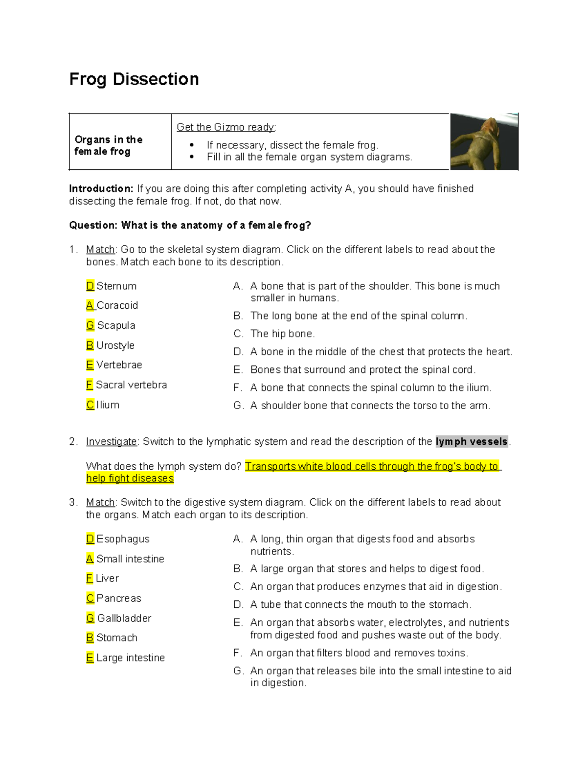 Frog Dissection Gizmos Frog Dissection Organs in the female frog Get the Gizmo ready If Studocu