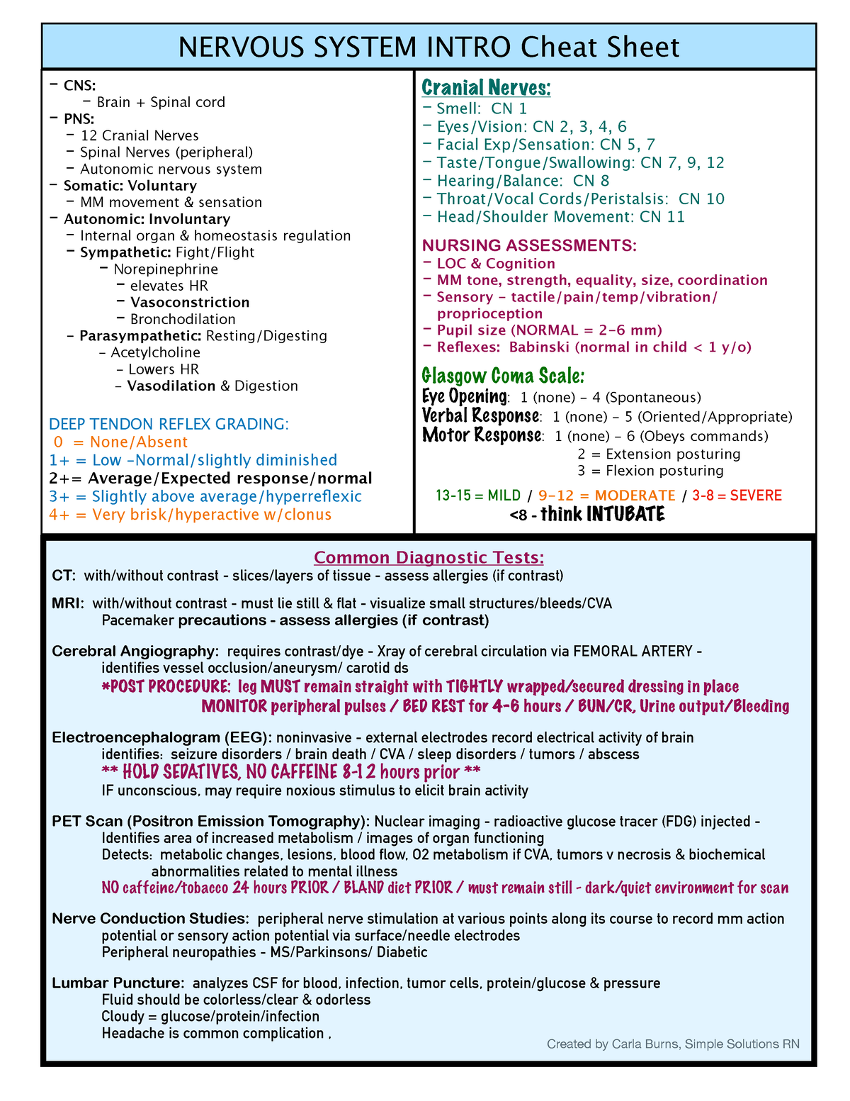 Nervous System Intro Cheat Sheet - Created by Carla Burns, Simple ...