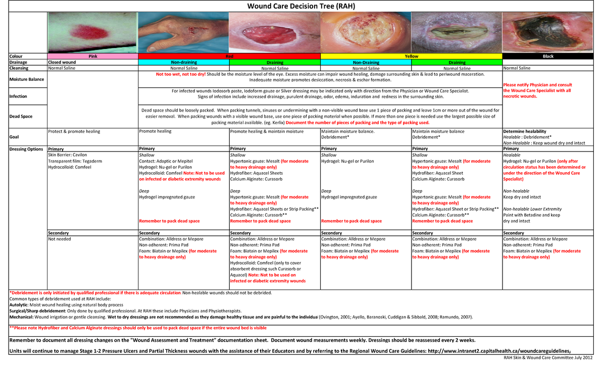 RAH Wound Care Decision Tree - Colour Pink Black Drainage Closed wound ...