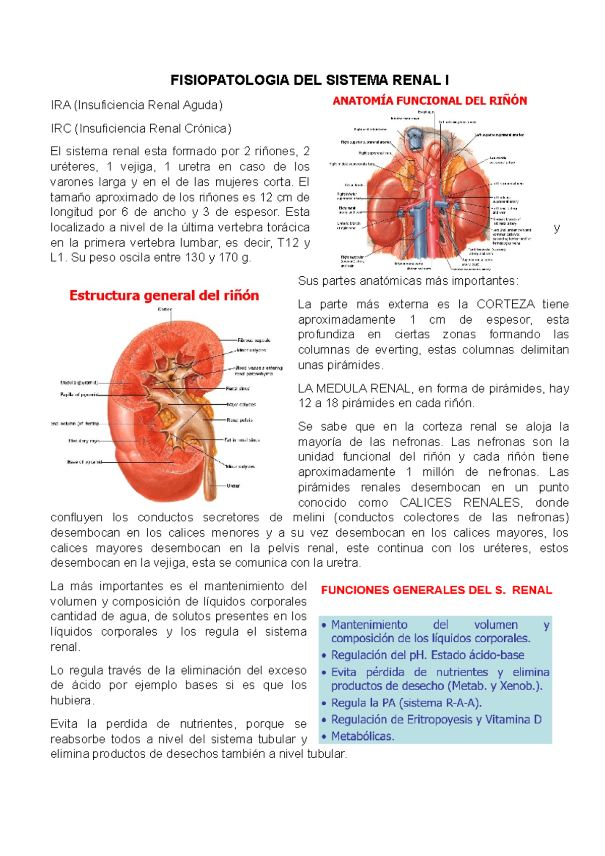 EL SISTEMA RENAL I - FISIOPATOLOGIA DEL SISTEMA RENAL I IRA ...