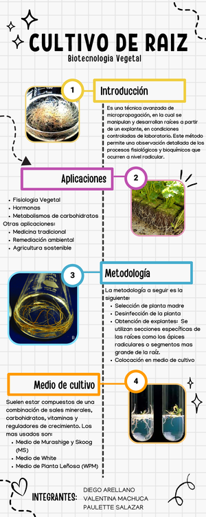 La Biología Del SARS-CoV-2. Hoja De Trabajo BioInteractive. Apunte De ...