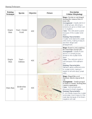 Class+Activity+5+Template - Table 5: Biochemical Test Results NOTE: Be ...
