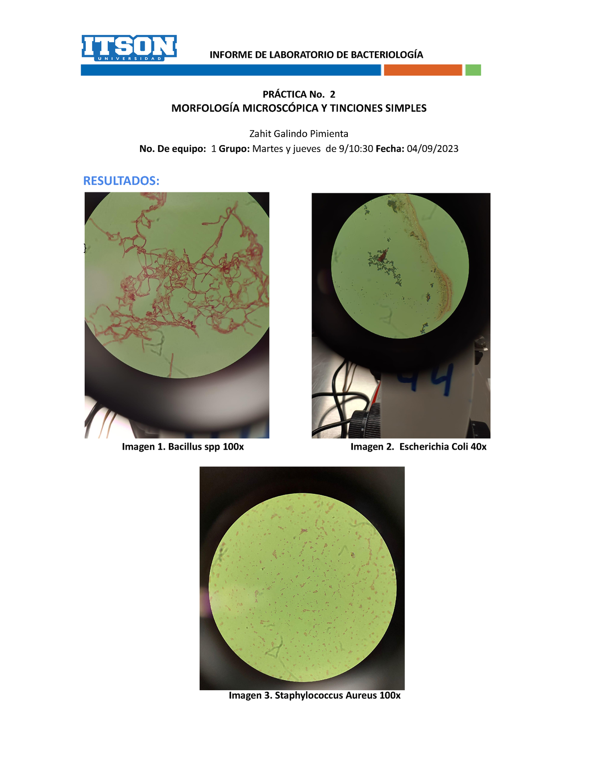 Informe 2 Bacteriologia - PRÁCTICA No. 2 MORFOLOGÍA MICROSCÓPICA Y ...