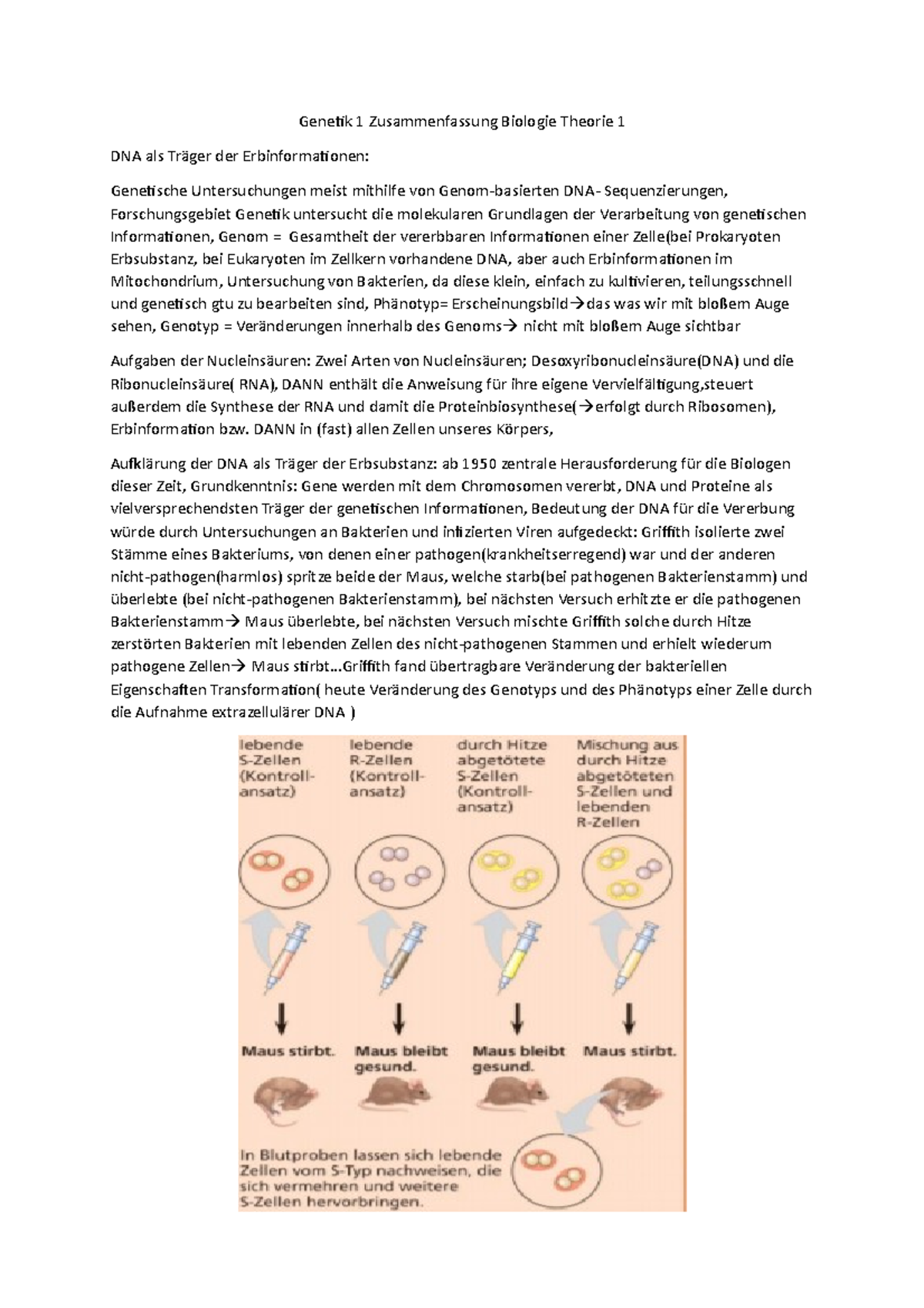 Genetik 1 Zusammenfassung Biologie Theorie 1 - Genetik 1 ...