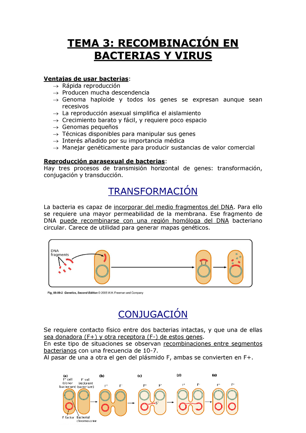 Tema 3 Recombinacion En Bacterias Y Virus Tema En Bacterias Virus Ventajas De Usar Bacterias Producen Mucha Descendencia Genoma Haploide Todos Los Genes Se Studocu