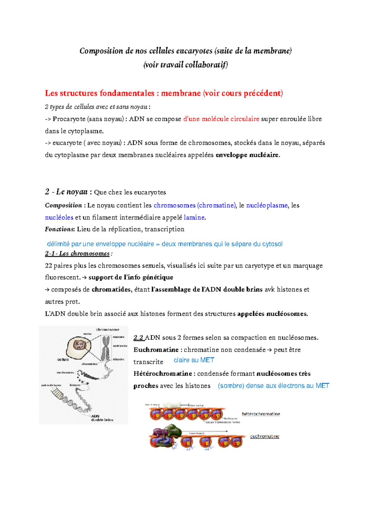 Biocell - Partie Ultrastructures - Composition De Nos Cellules ...