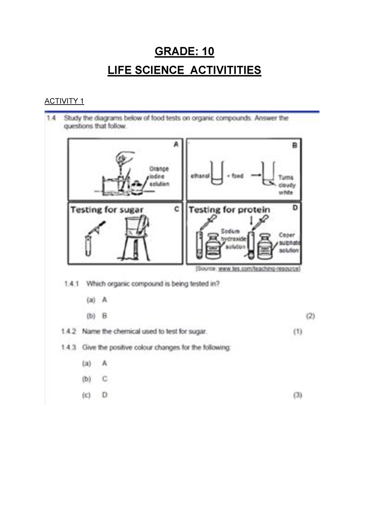 grade 10 life science assignment term 2