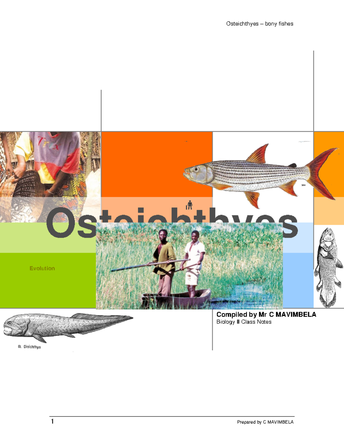 Biology 2 BONY Fishes Class Notes1 MZOA022 Studocu