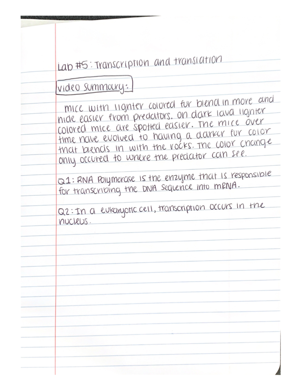Bio lab 5 - lab notes for doctor bushman's bio 181 class. - BIO 181L ...