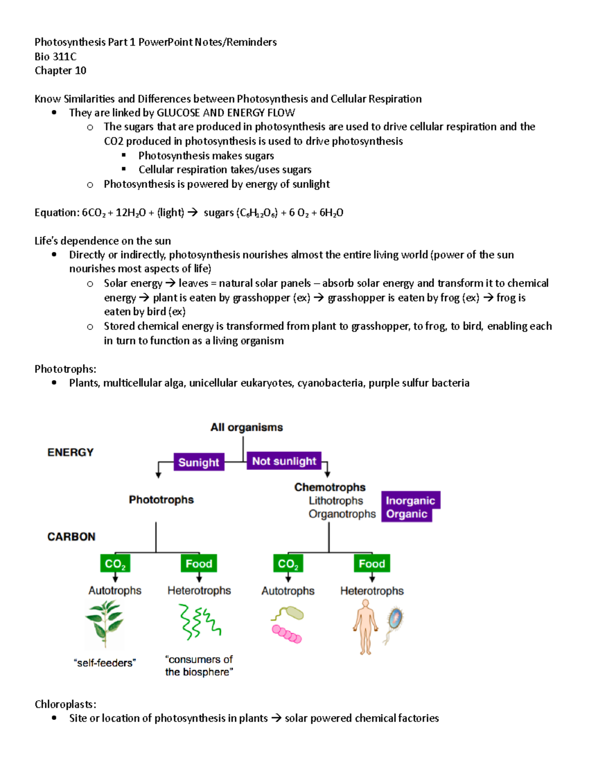 Photosynthesis Part 1 Power Point Notes and Reminders - Photosynthesis ...