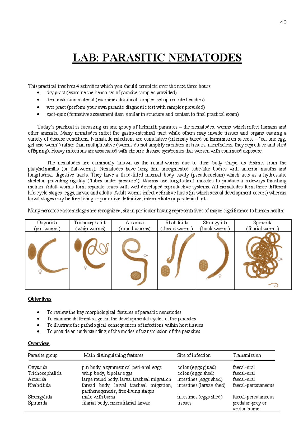 essay questions on nematodes