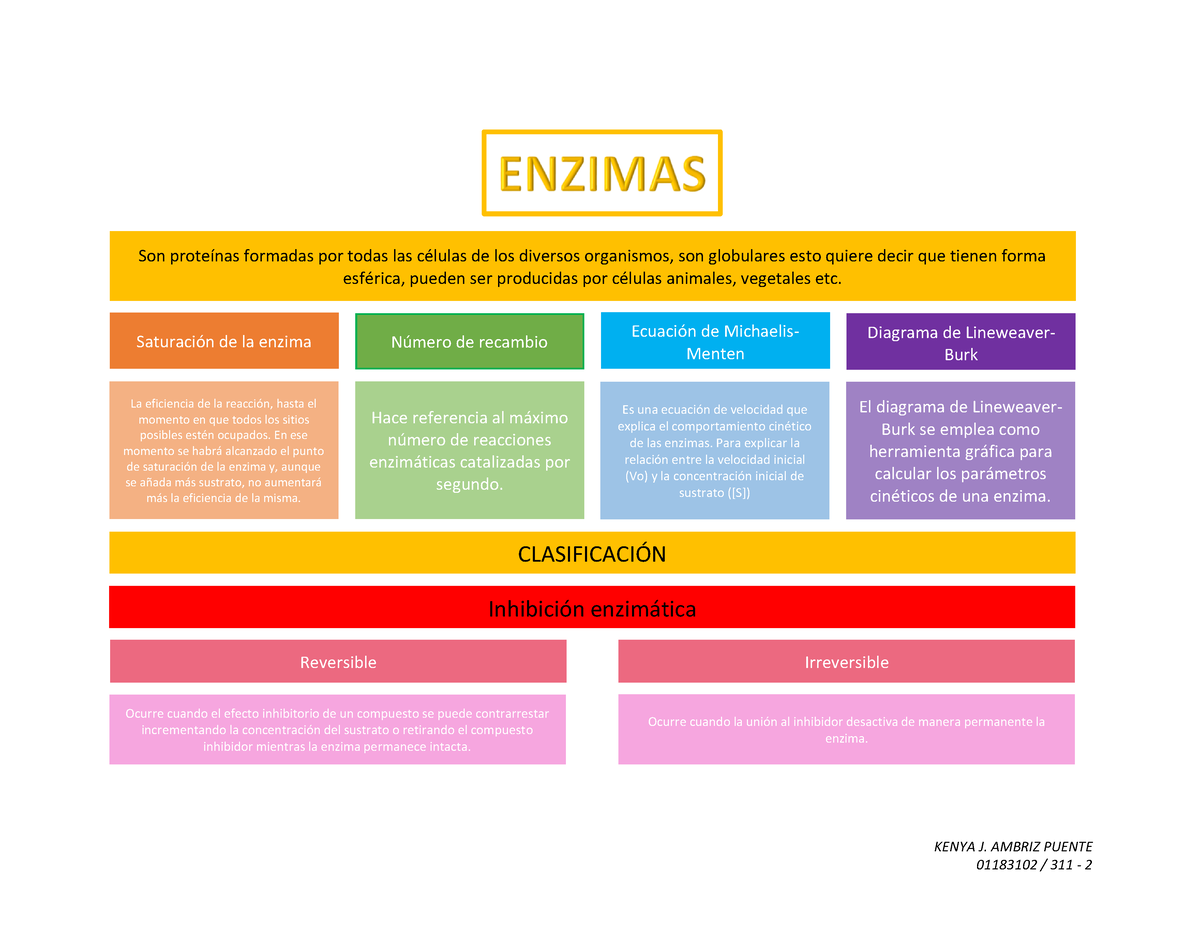 Esquema Enzimas Pt2 Kenya J Ambriz Puente 01183102 311 2 Son