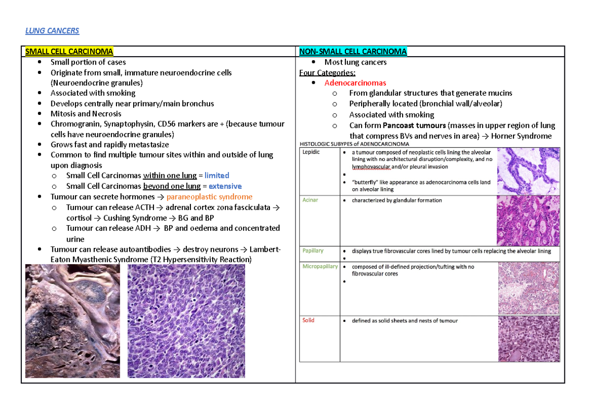 Lung cancers summary - LUNG CANCERS SMALL CELL CARCINOMA NON-SMALL CELL ...