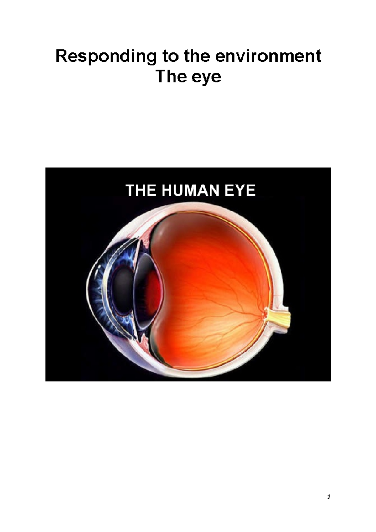 The eye The labels for the eye Responding to the environment The