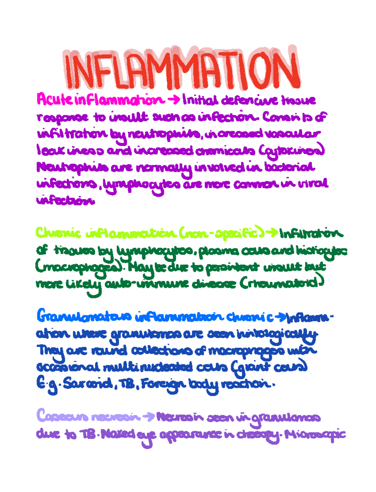 Pathology of inflammation - INFLAMMATION A cute inflammation Initial ...