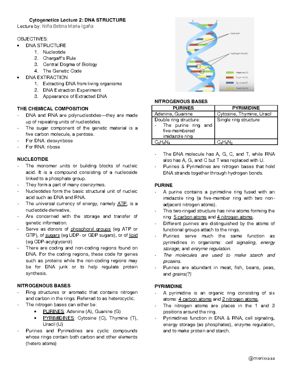 Cytogenetics Lec 2 DNA Structure - Cytogenetics Lecture 2: DNA ...