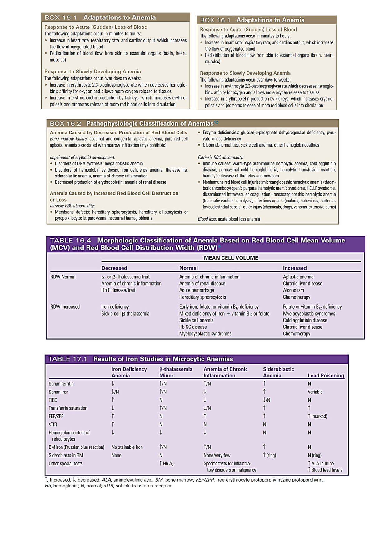 6 - Lecture notes 1 - Science - Studocu