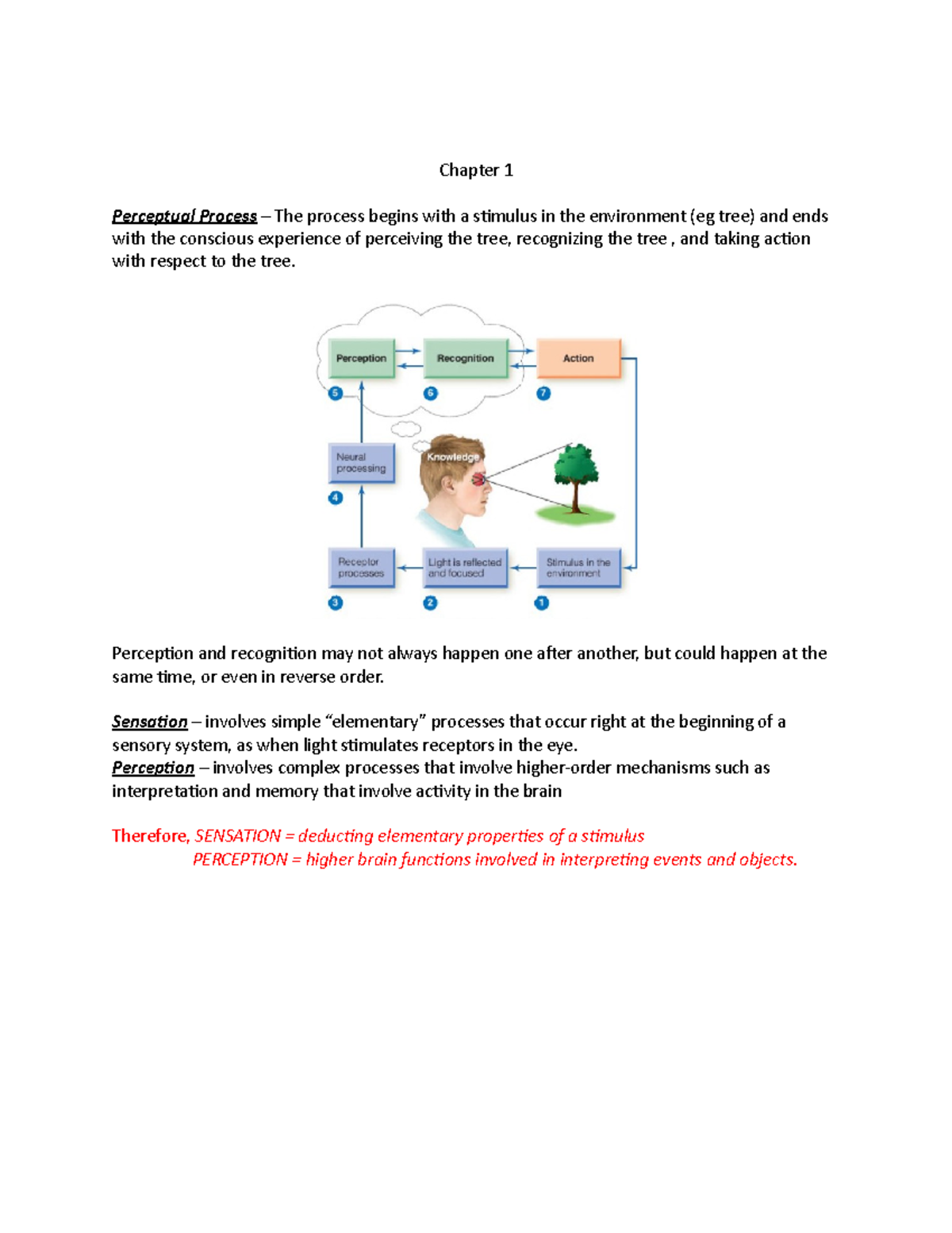 Chapter 1 - Chapter 1 Perceptual Process – The process begins with a ...
