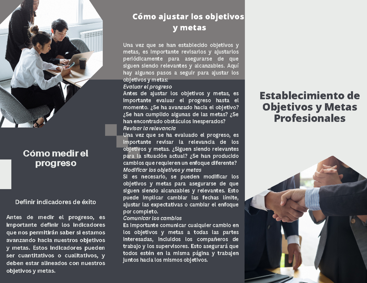 Establecimiento de Objetivos y Metas Profesionales - Establecimiento de ...