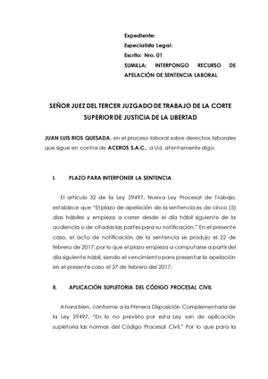 Recurso DE Apelación DE Sentencia Laboral - Expediente: Especialista Legal:  Escrito: Nro. 01 - Studocu