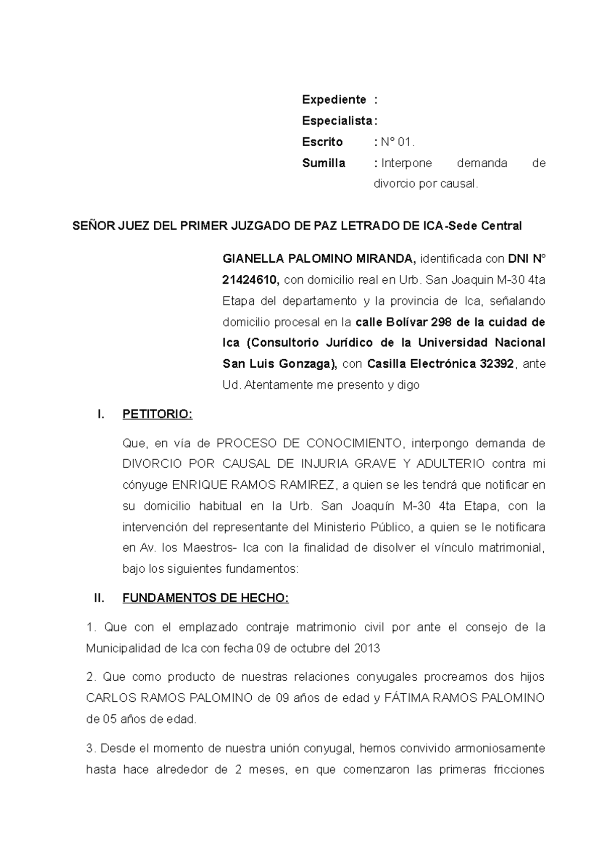 Demanda De Divorcio Por Causal Expediente Especialista Escrito