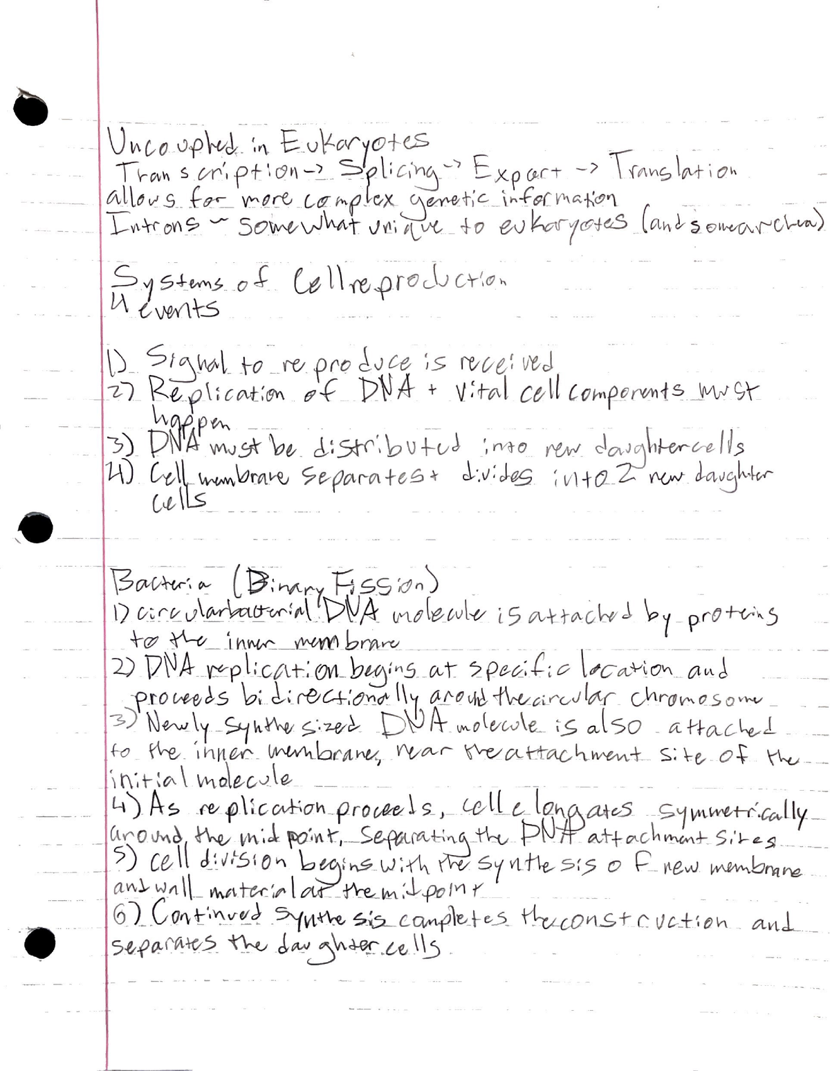 Transcription:Translation + Cell division - BIOL 2107 - Studocu