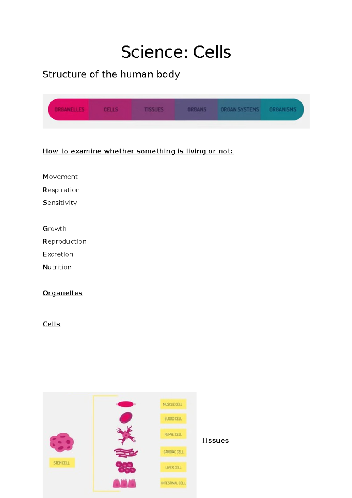 Science - Cells - Notes - ENER 1 - Science: Cells Structure of the ...