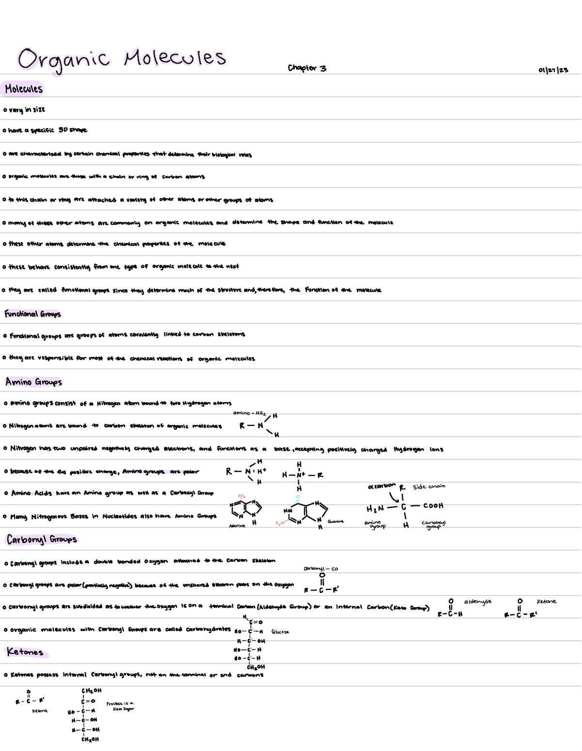 BIOL 224 Organic Molecules BIOL 224 Studocu   Thumb 1200 1550 