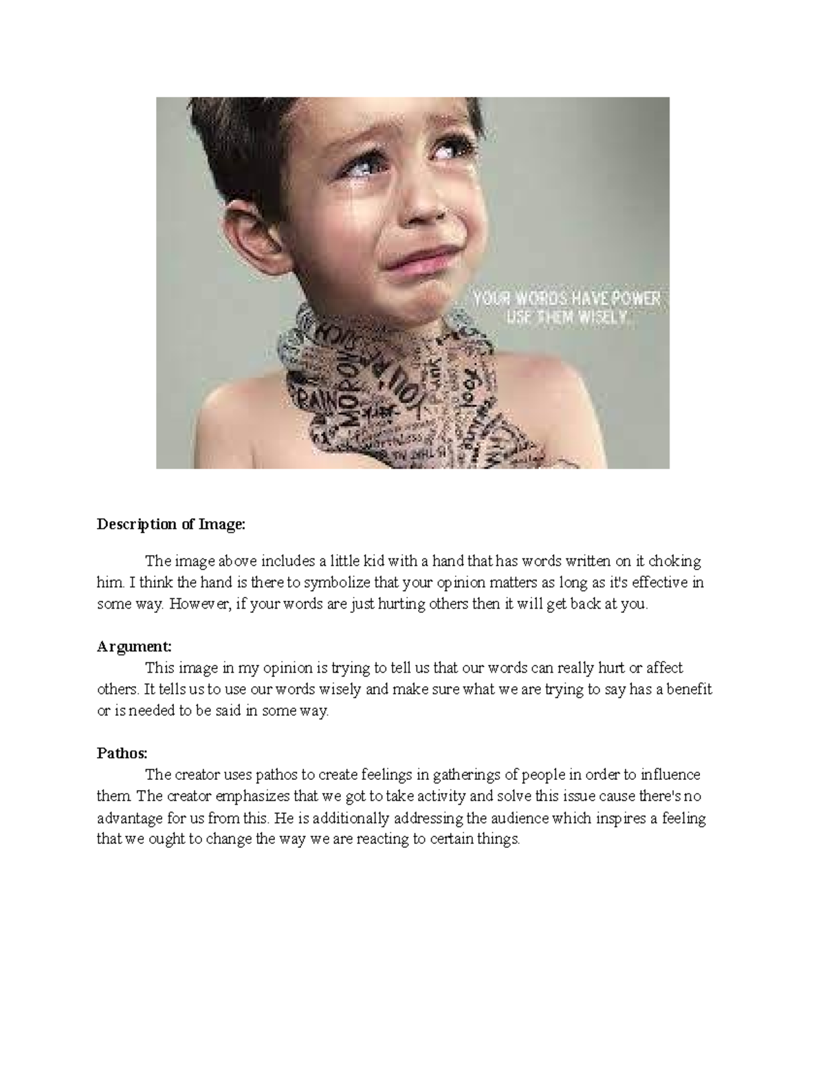 Media Rhetorical Analysis Description of Image The image above