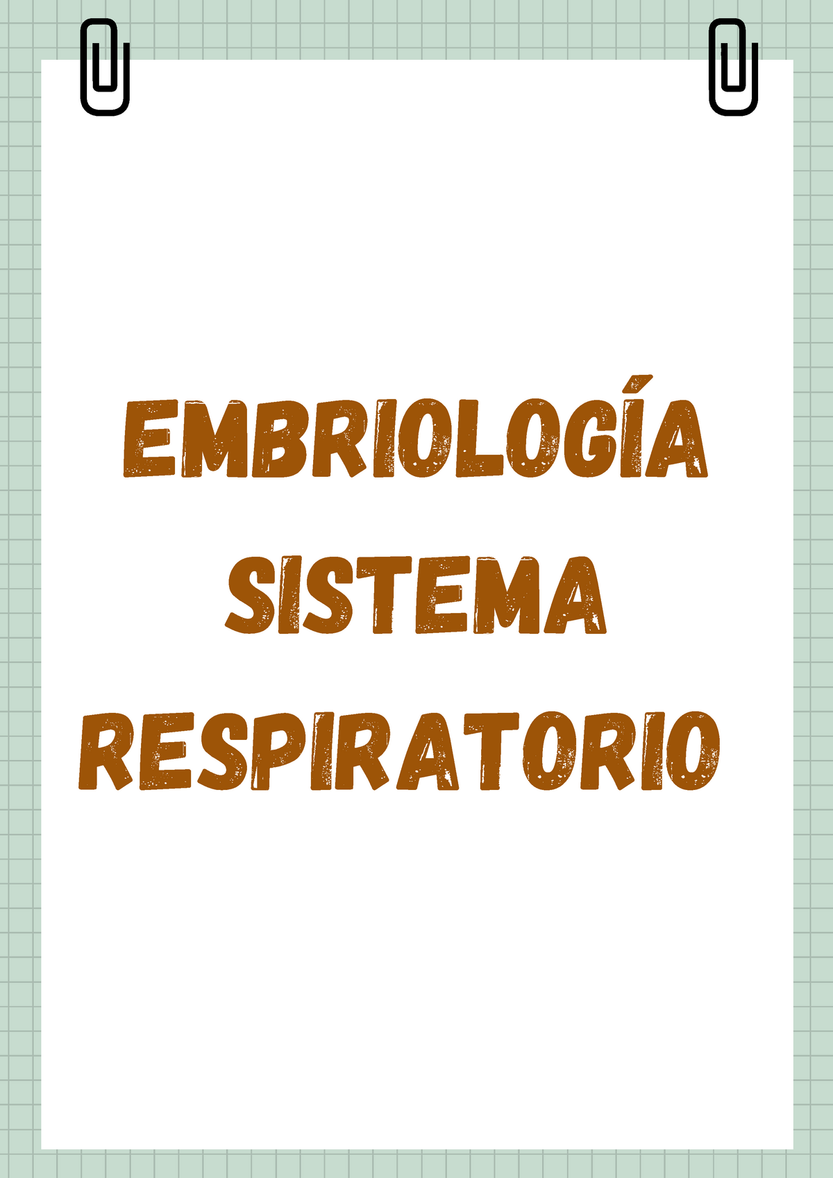 Embriolog A Del Sistema Respiratorio Embriolog A Sistema Respiratorio Tabique Traqueoesof Gico